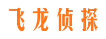 武城小三调查